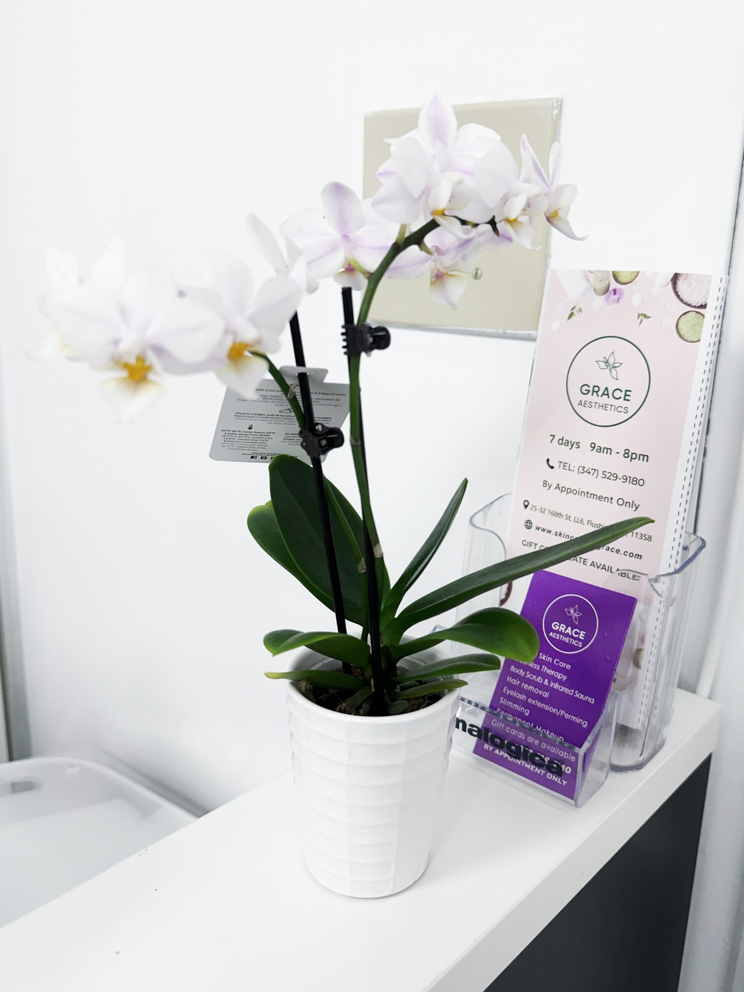 grace aesthetics welcome