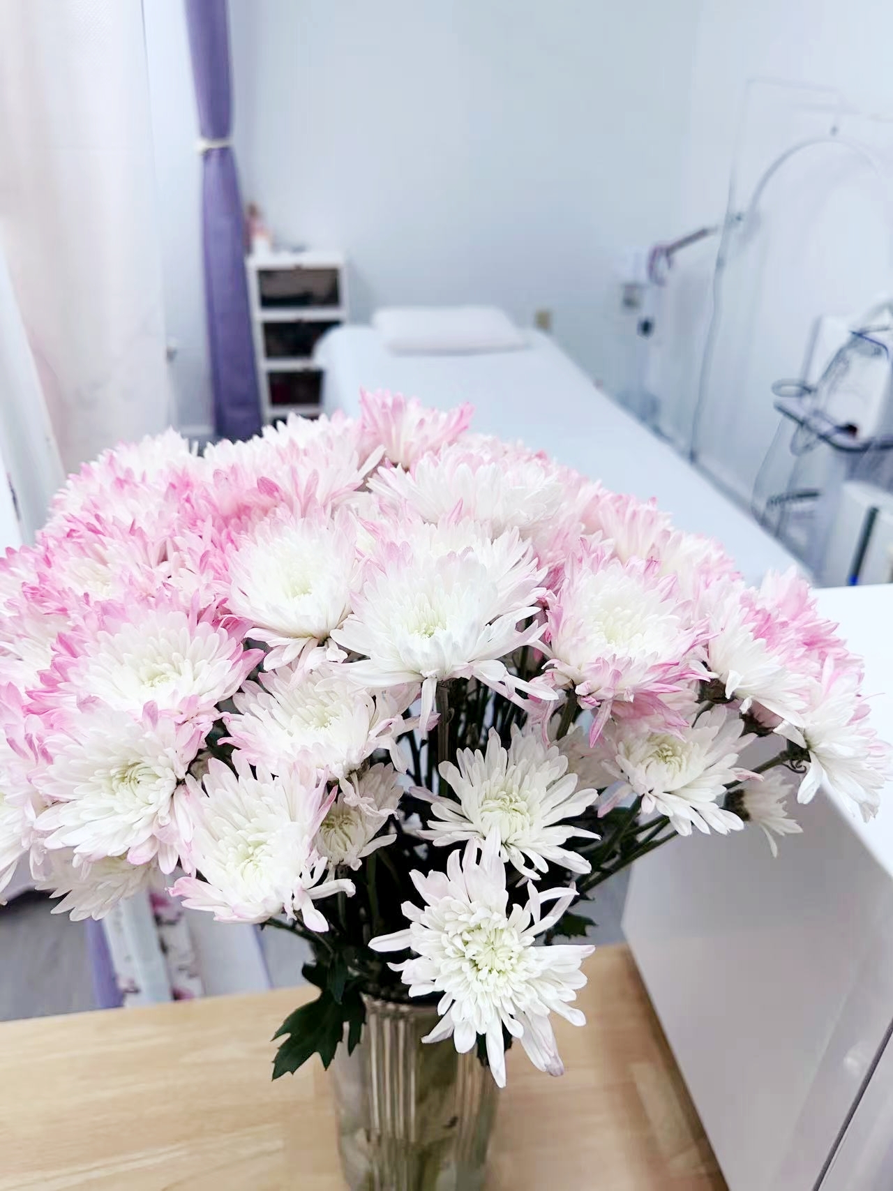 grace aesthetics studio